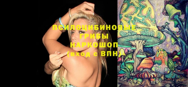 гашик Семёнов