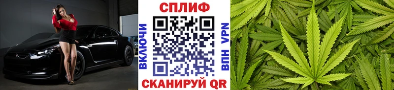 Купить где  Тольятти  МАРИХУАНА Ganja 